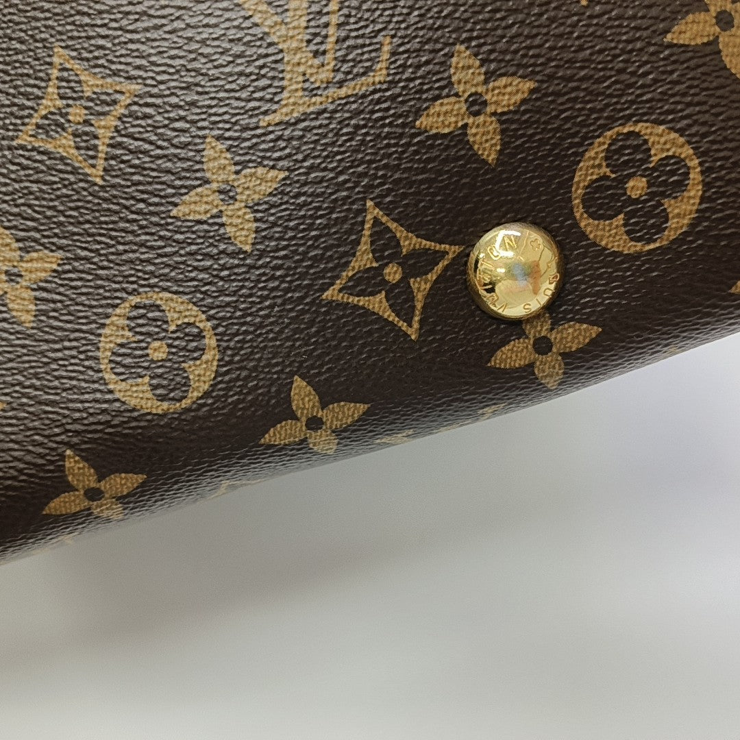 CARRYALL PM Monogram Coated Canvas Brown