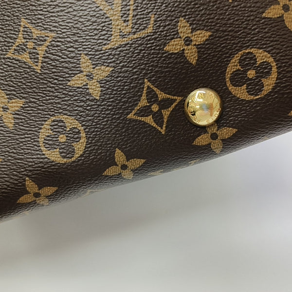CARRYALL PM Monogram Coated Canvas Brown