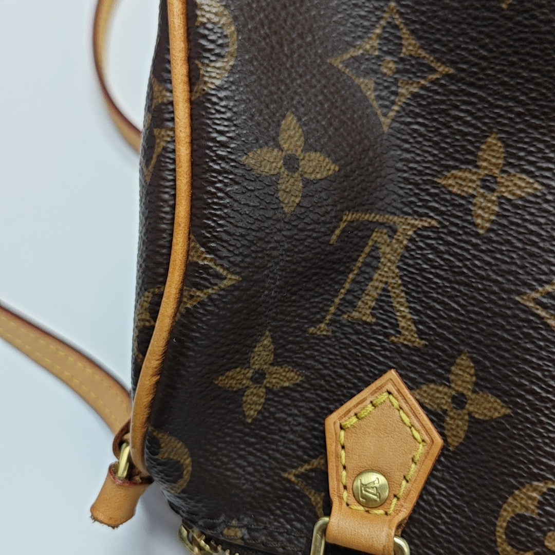 SPEEDY Nano Monogram Coated Canvas Brown