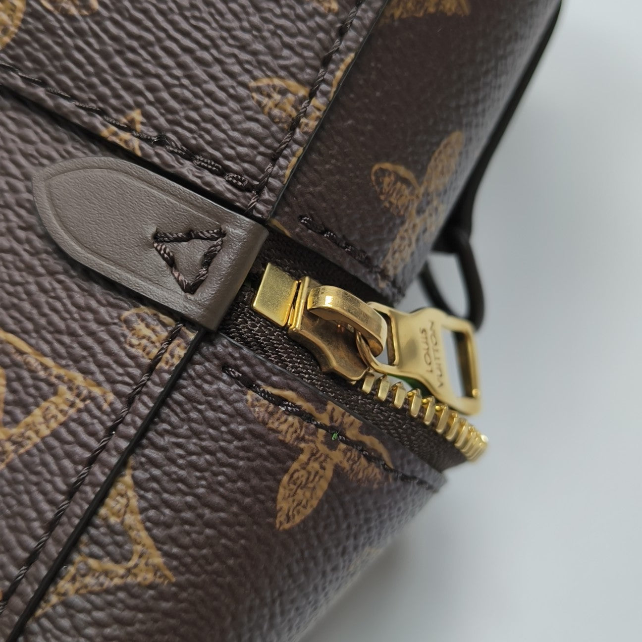 VERTICAL BOX TRUNK Monogram Coated Canvas Brown