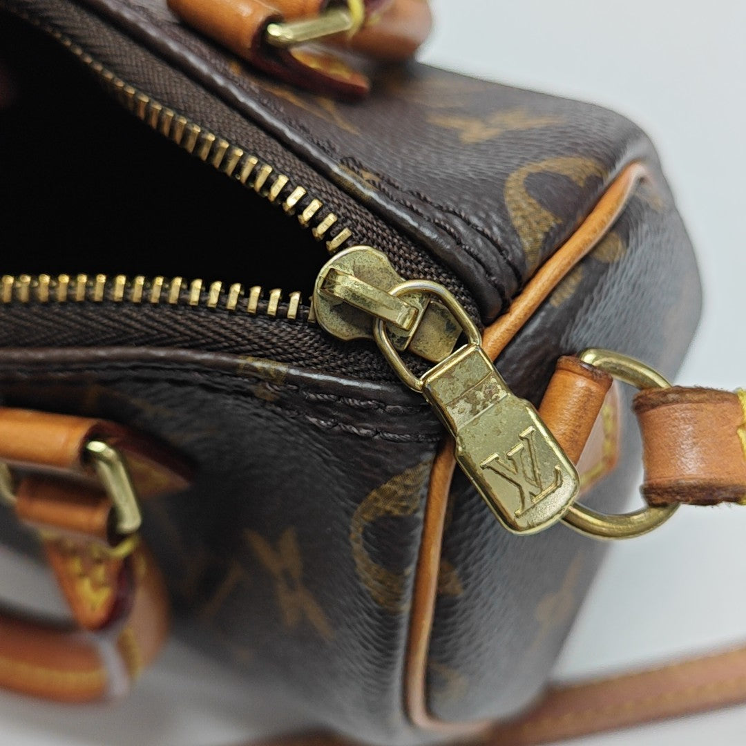 SPEEDY Nano Monogram Coated Canvas Brown