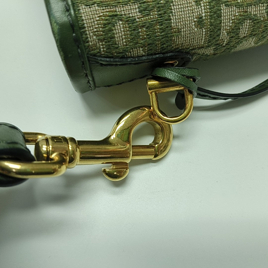 Dioraddict Oblique Canvas Green