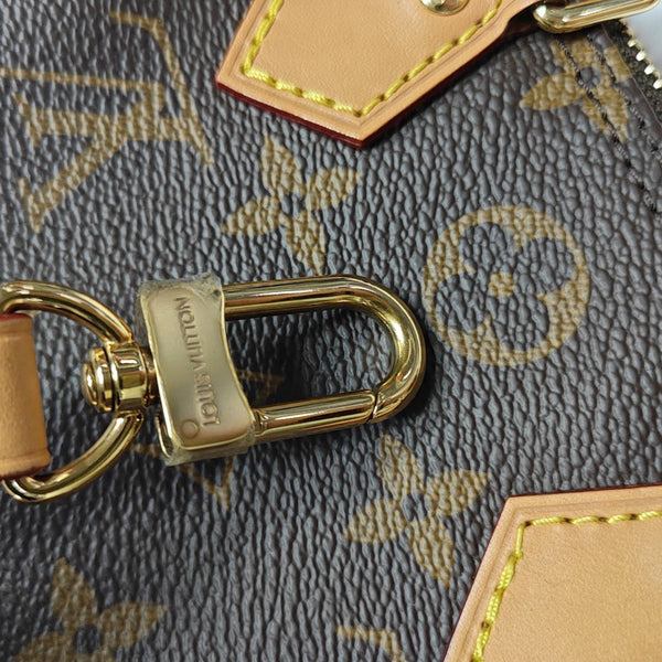 SPEEDY Nano Monogram Coated Canvas Brown