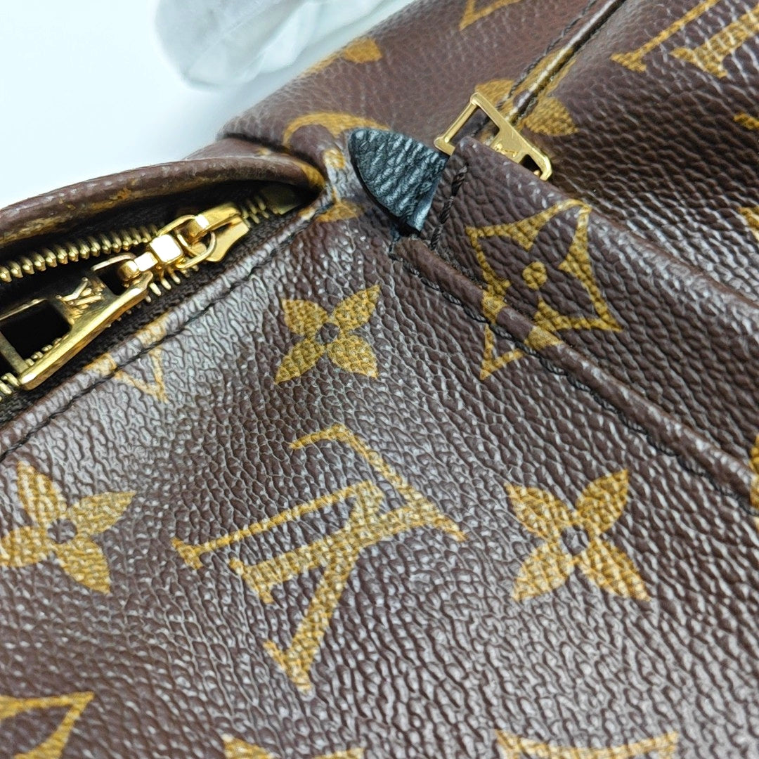 Authenticated pre-owned  PALM SPRINGS Mini Monogram Coated Canvas Brown - Backpack at Looply