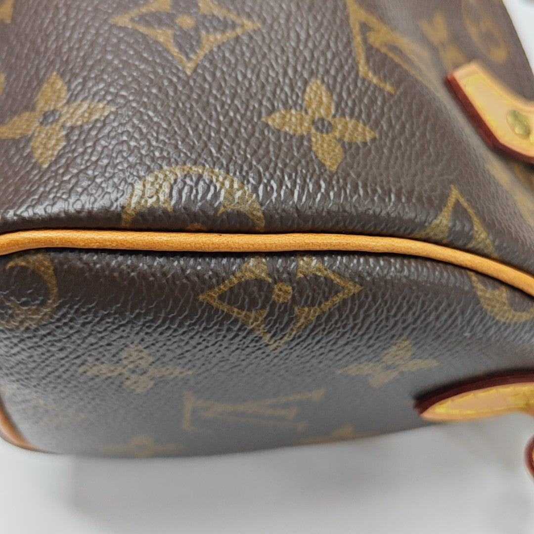 SPEEDY Nano Monogram Coated Canvas Brown