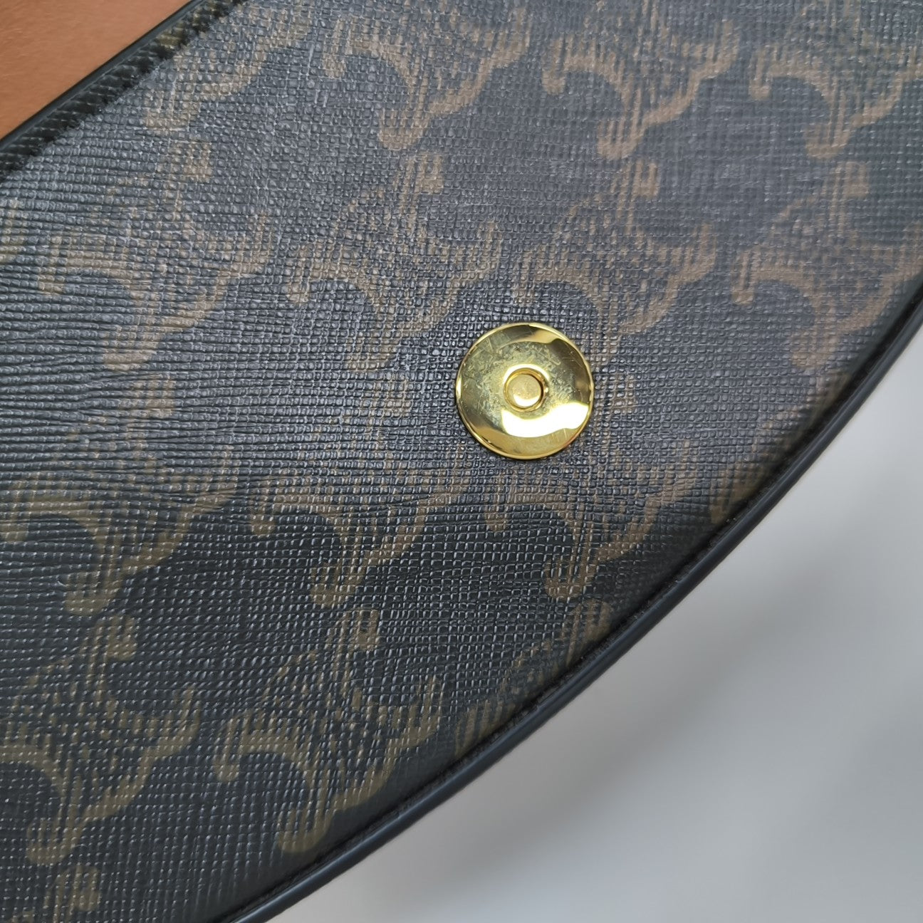 TABOU Coated Canvas Brown
