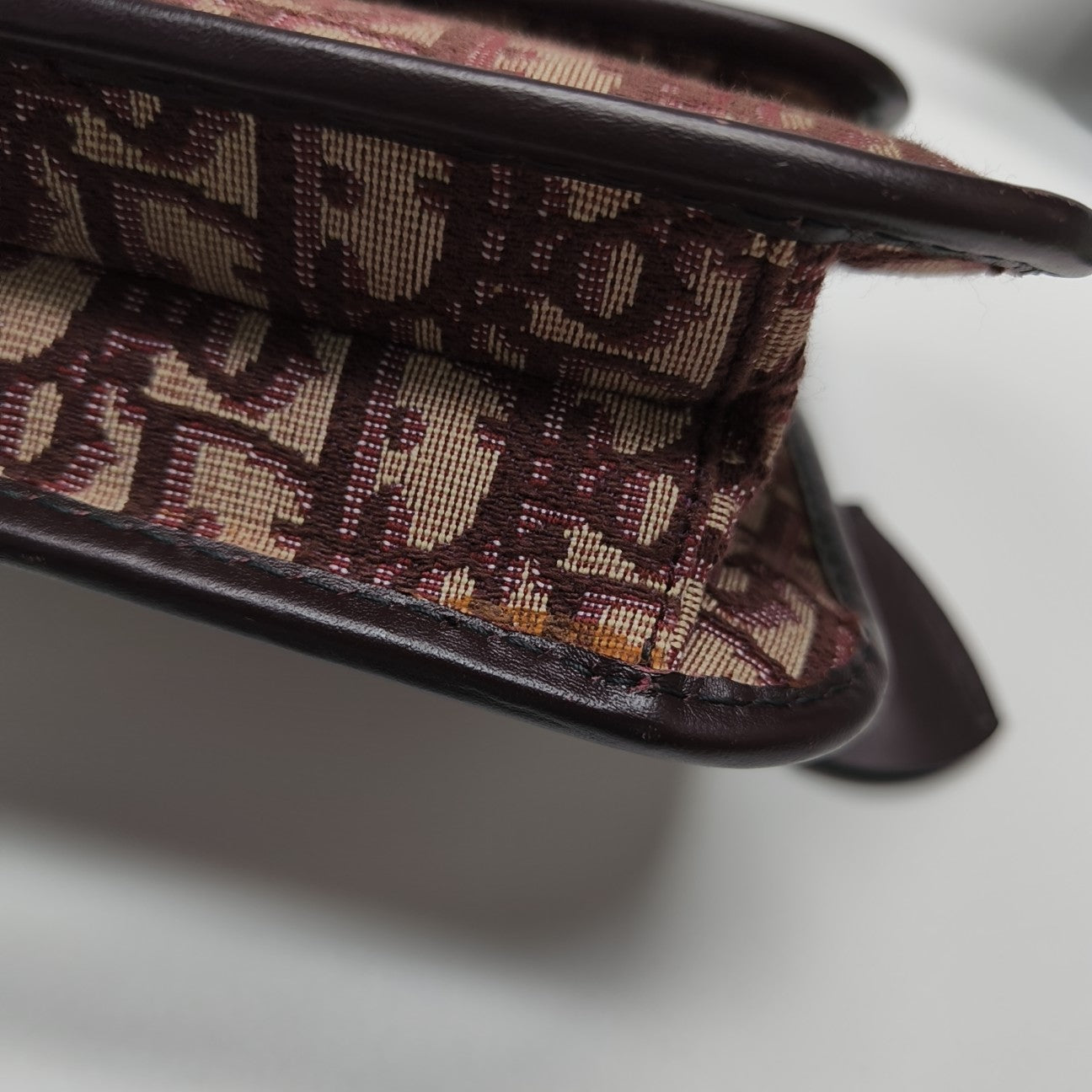 Dioraddict Oblique Canvas Red