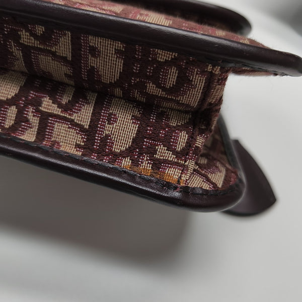 Dioraddict Oblique Canvas Red
