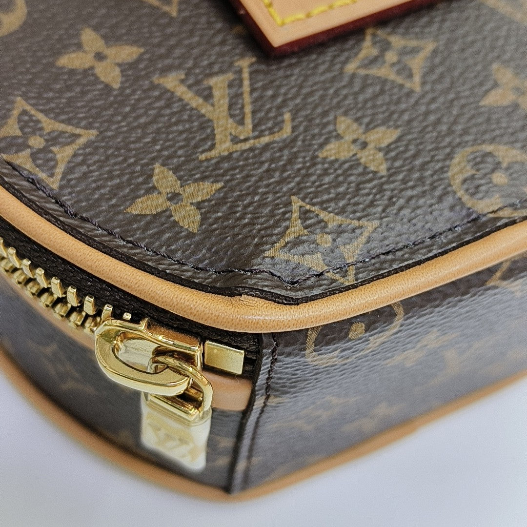 BOITE CHAPEAU Mini Monogram Coated Canvas Brown