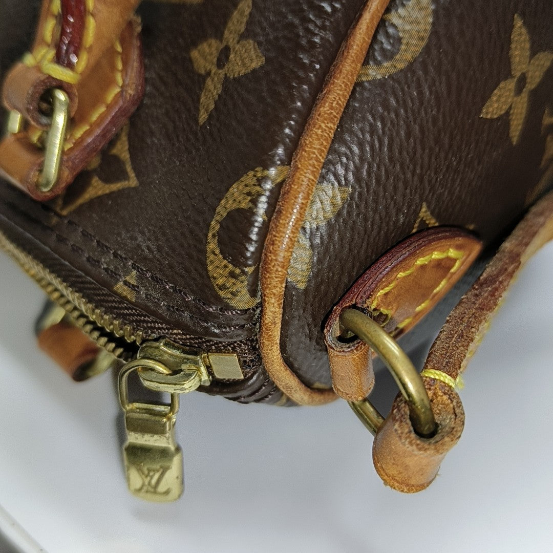SPEEDY Nano Monogram Coated Canvas Brown