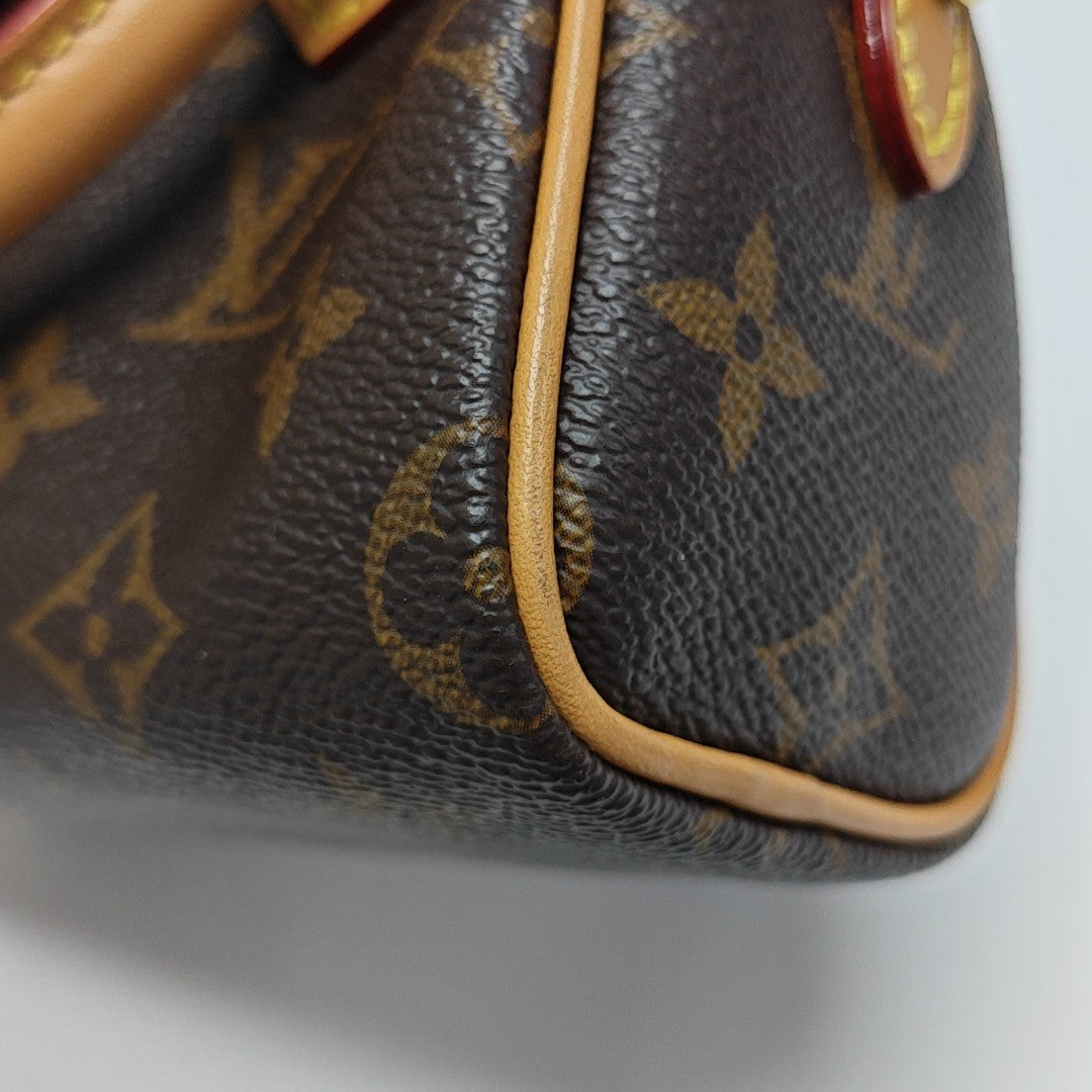 SPEEDY Nano Monogram Coated Canvas Brown