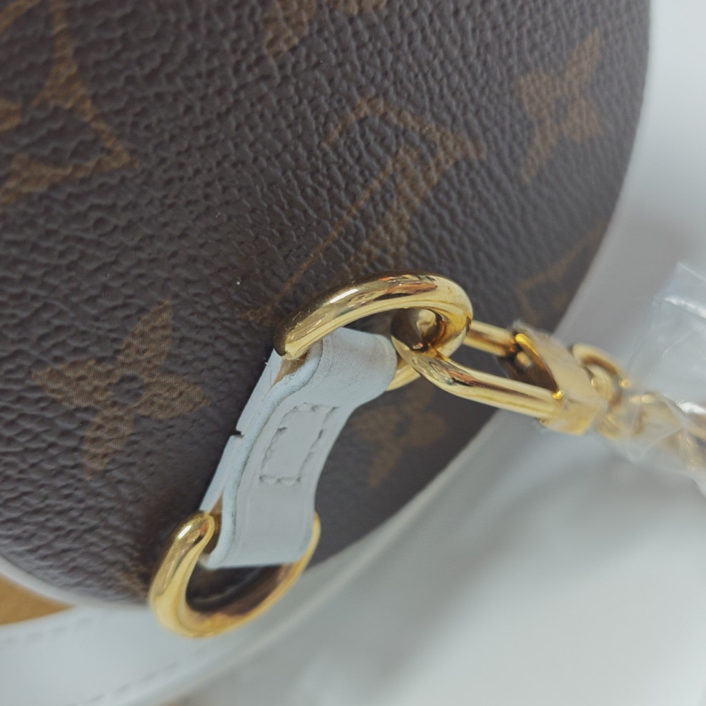 PAPILLON 19 Monogram Coated Canvas Brown