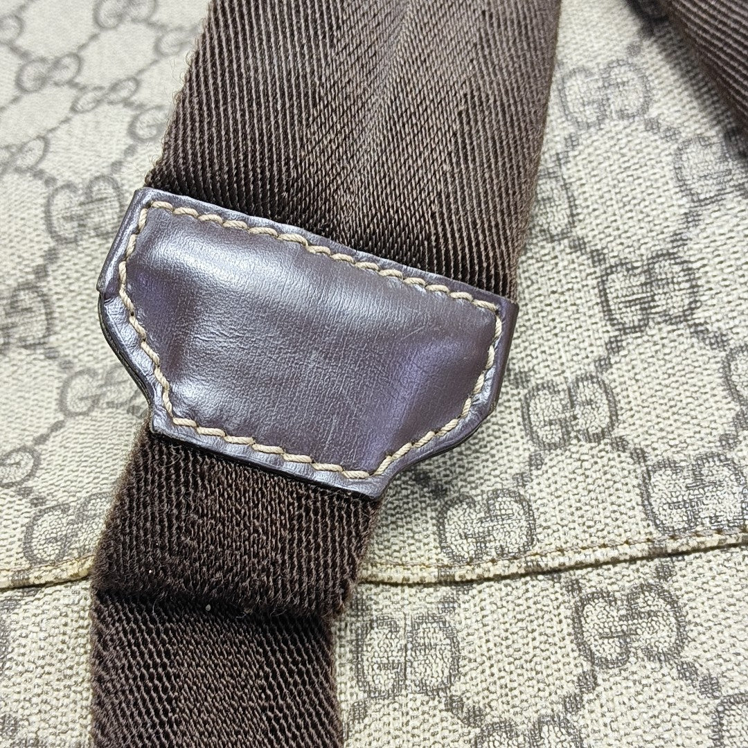 Monogram Coated Canvas Backpack Brown