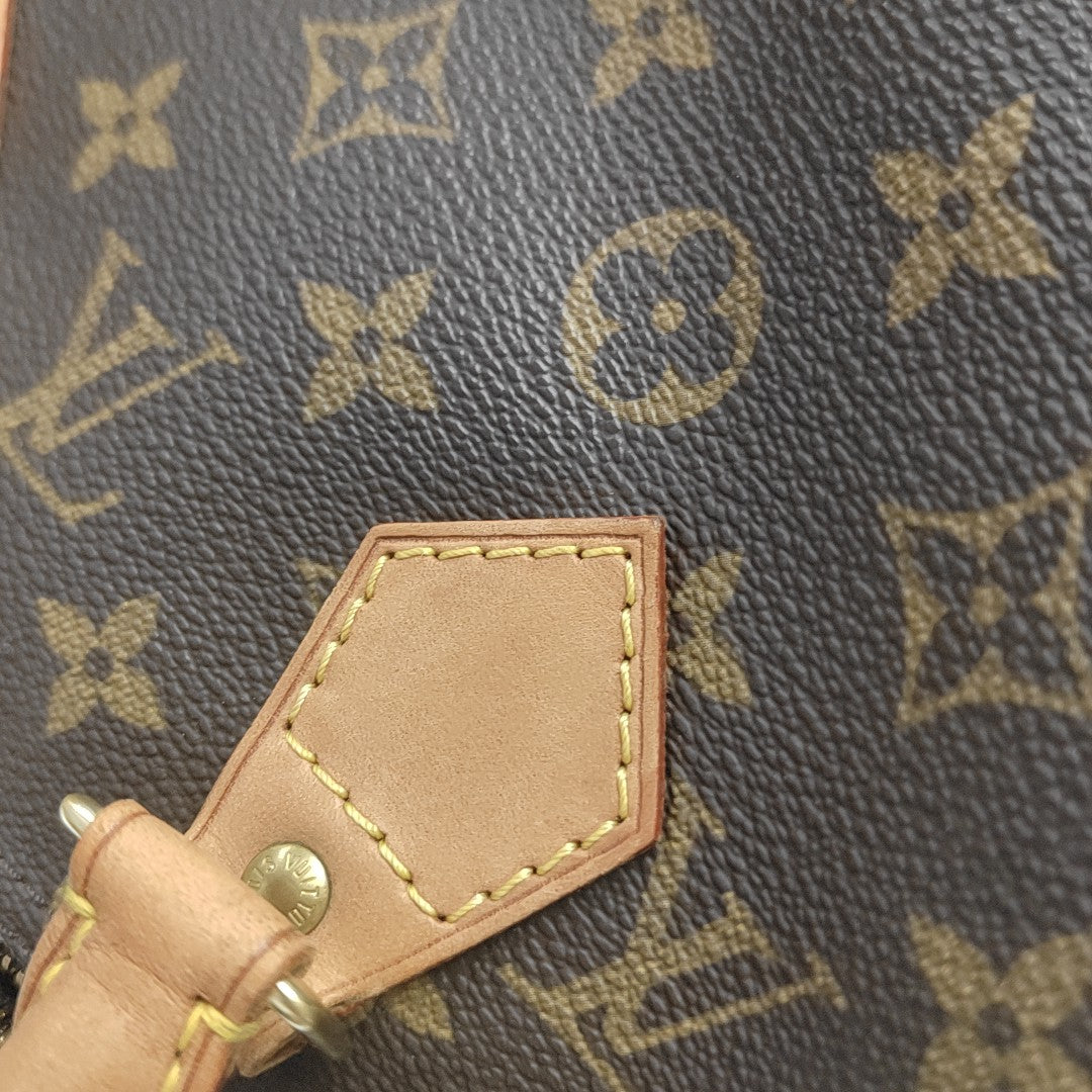 SPEEDY 25 Monogram Coated Canvas Brown
