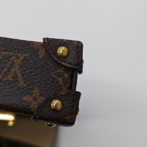 TRUNK Monogram Coated Canvas Brown