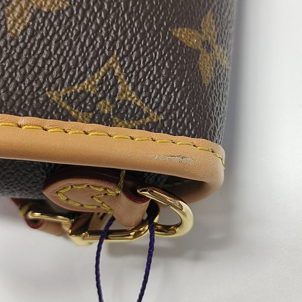 DIANE Nano Monogram Coated Canvas Brown