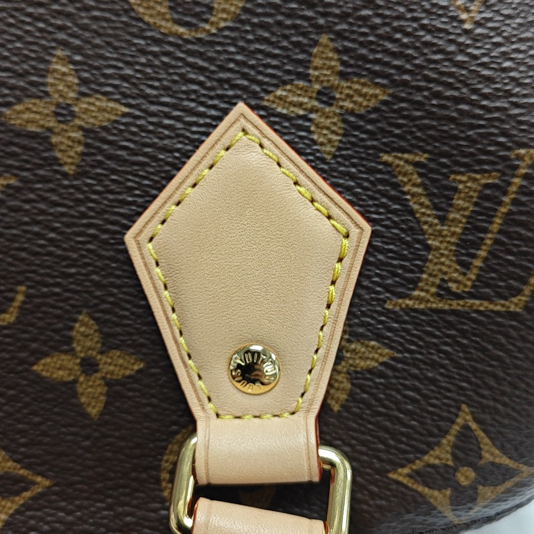SPEEDY 20 Monogram Coated Canvas Brown