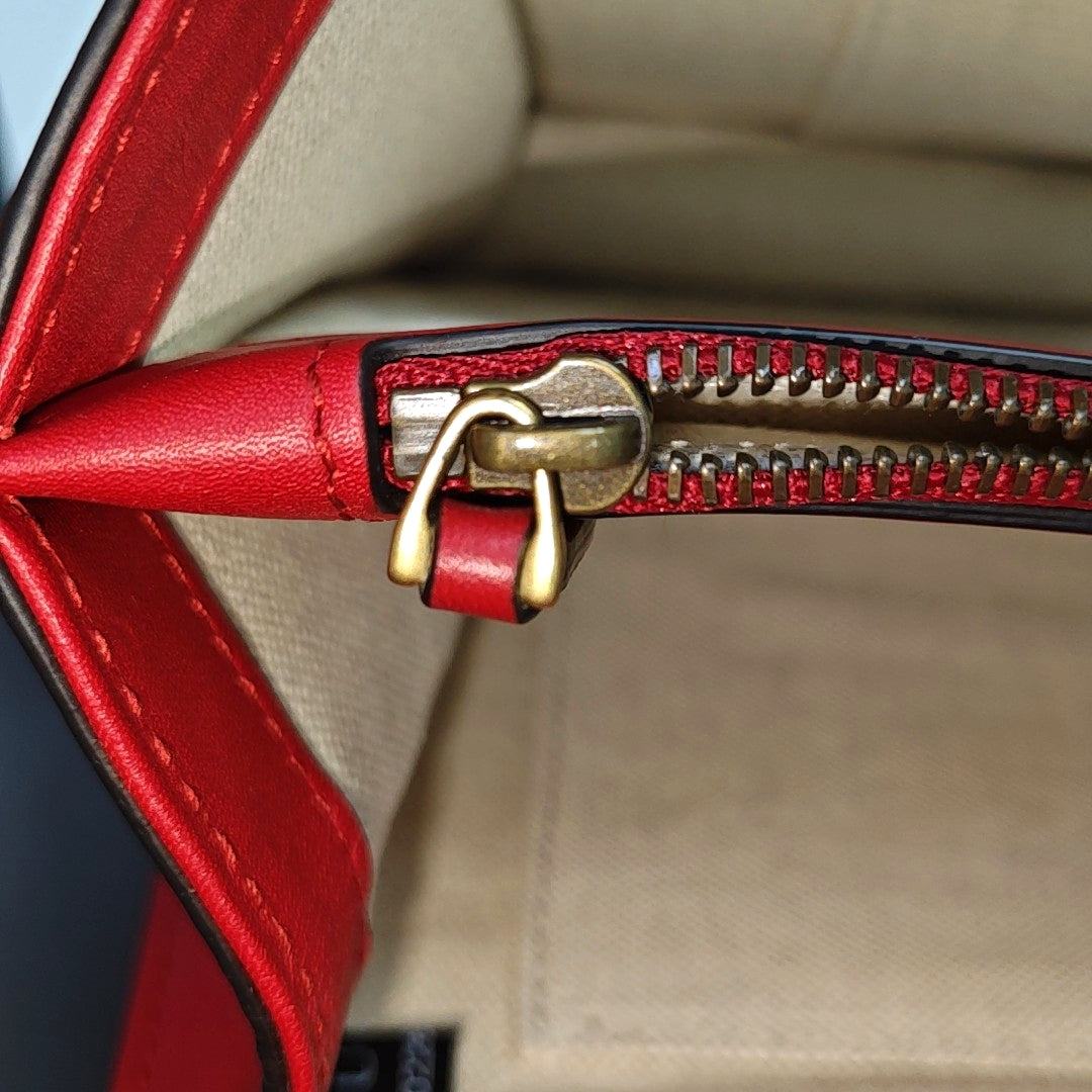 Dionysus Medium Calfskin Red
