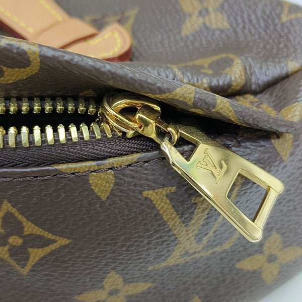 BUMBAG Monogram Coated Canvas Brown