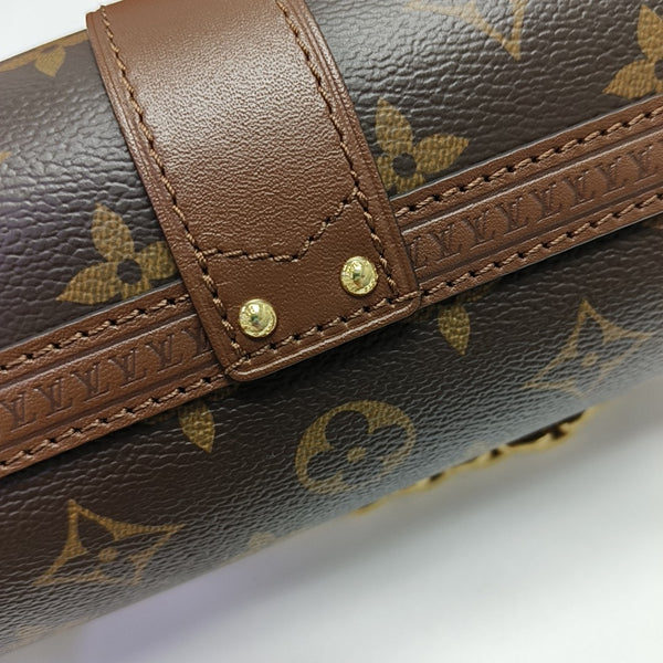 PAPILLON 19 Monogram Coated Canvas Brown