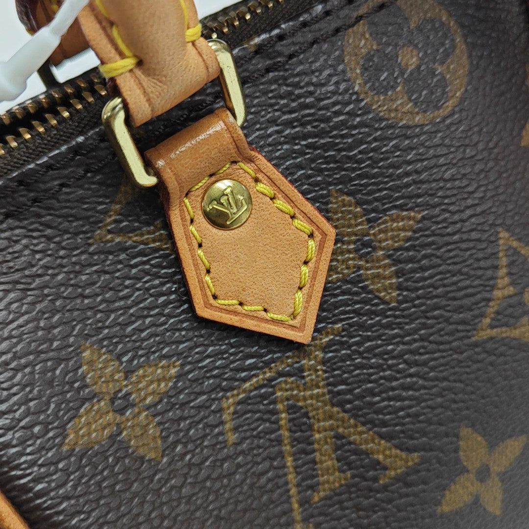 SPEEDY Nano Monogram Coated Canvas Brown
