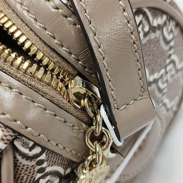 Monogram Coated Canvas Crossbody Bag Mini Brown