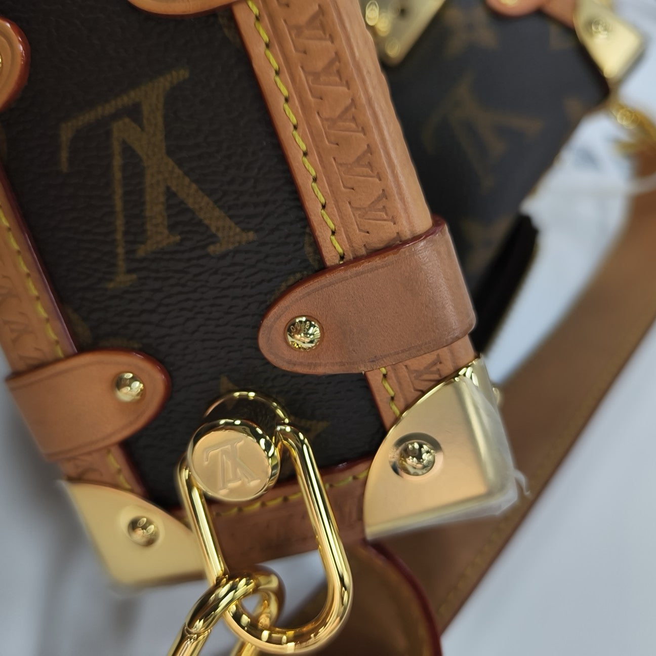 SIDE TRUNK PM Monogram Coated Canvas Brown