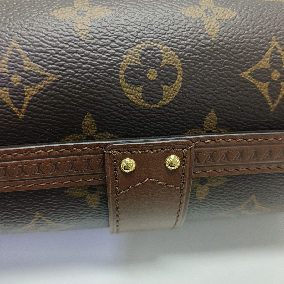 PAPILLON 19 Monogram Coated Canvas Brown