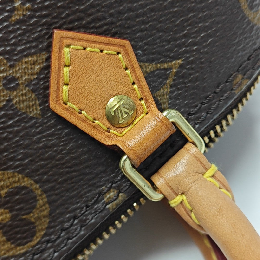 SPEEDY Nano Monogram Coated Canvas Brown