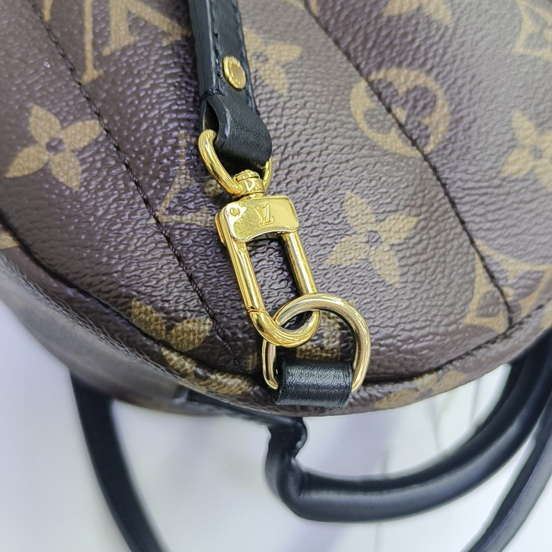 PALM SPRINGS Mini Monogram Coated Canvas Brown