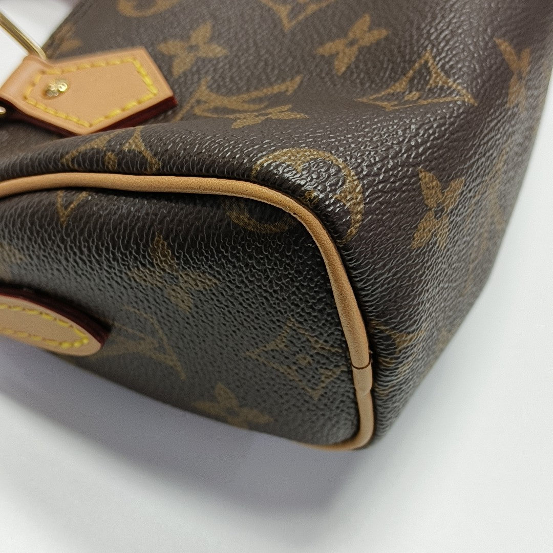 SPEEDY Nano Monogram Coated Canvas Brown