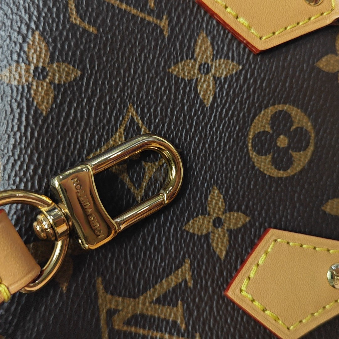 SPEEDY Nano Monogram Coated Canvas Brown