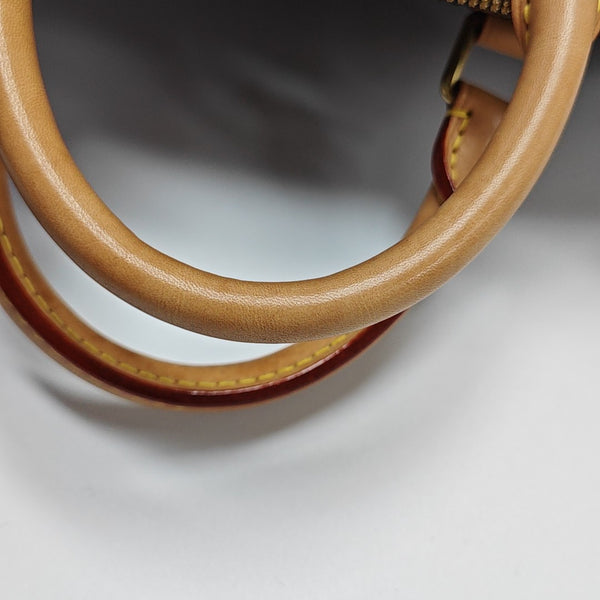 SPEEDY 25 Monogram Coated Canvas Brown