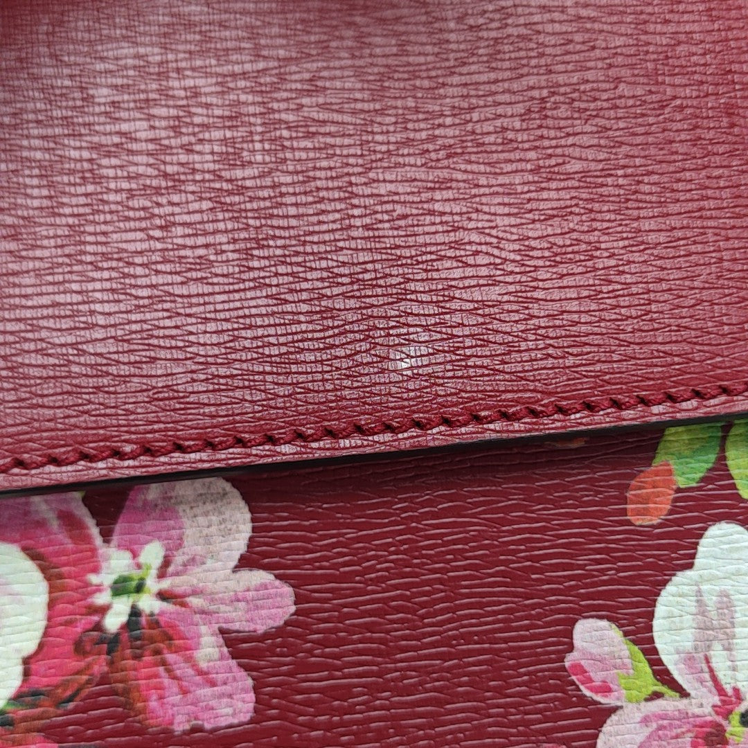 Dionysus Small Calfskin Red