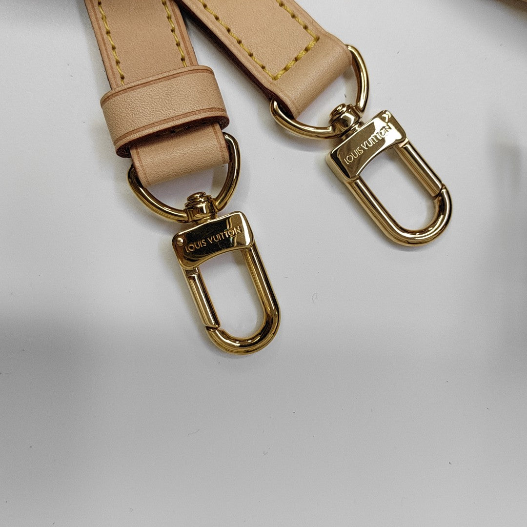 SPEEDY 25 Monogram Coated Canvas Brown