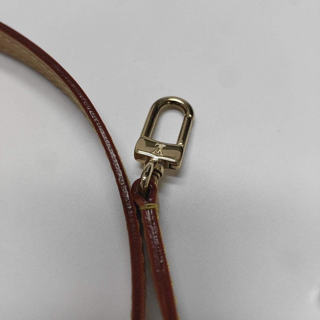 DIANE Nano Monogram Coated Canvas Brown