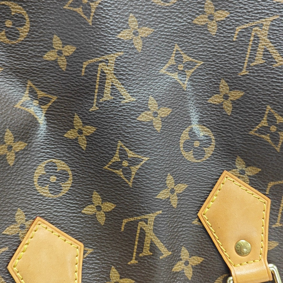 SPEEDY 25 Monogram Coated Canvas Brown