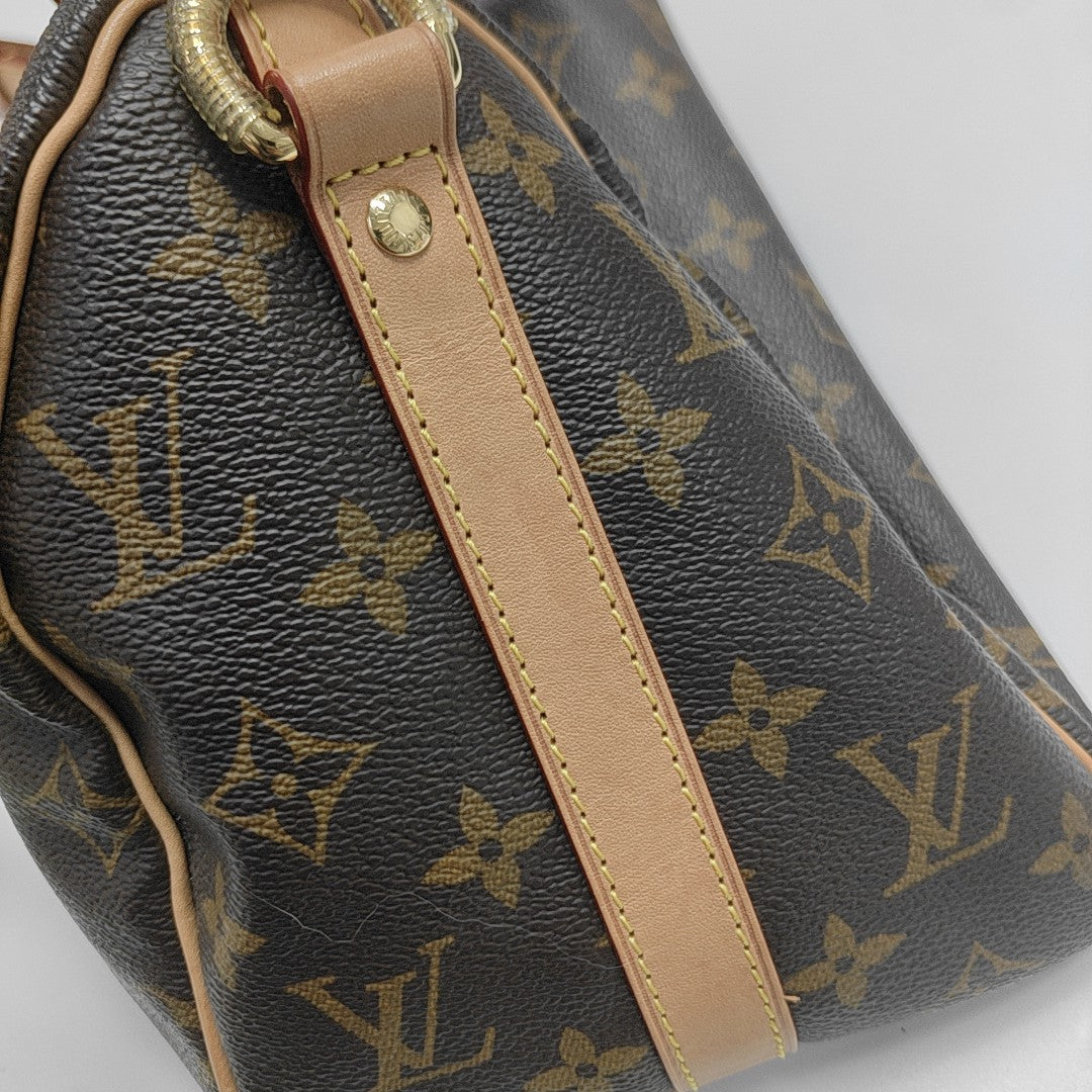 SPEEDY 25 Monogram Coated Canvas Brown