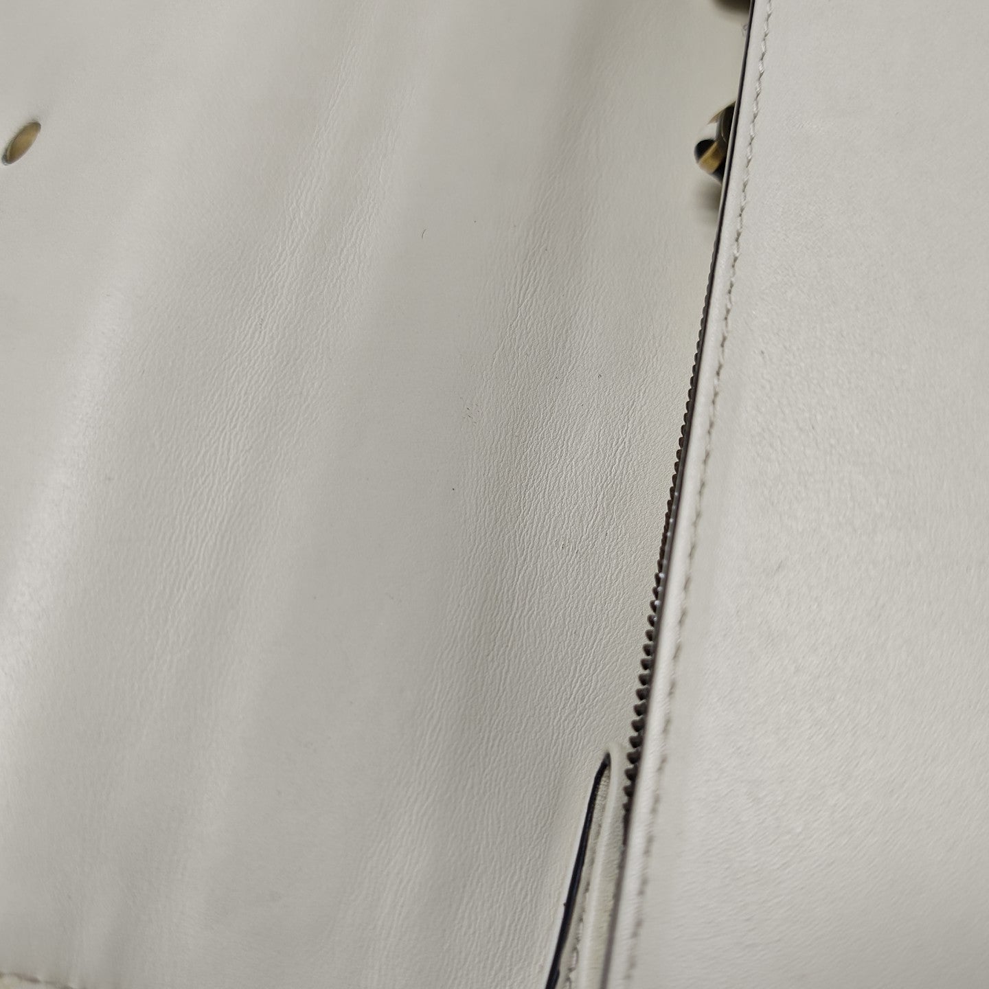 Dionysus Medium Calfskin Multicolor