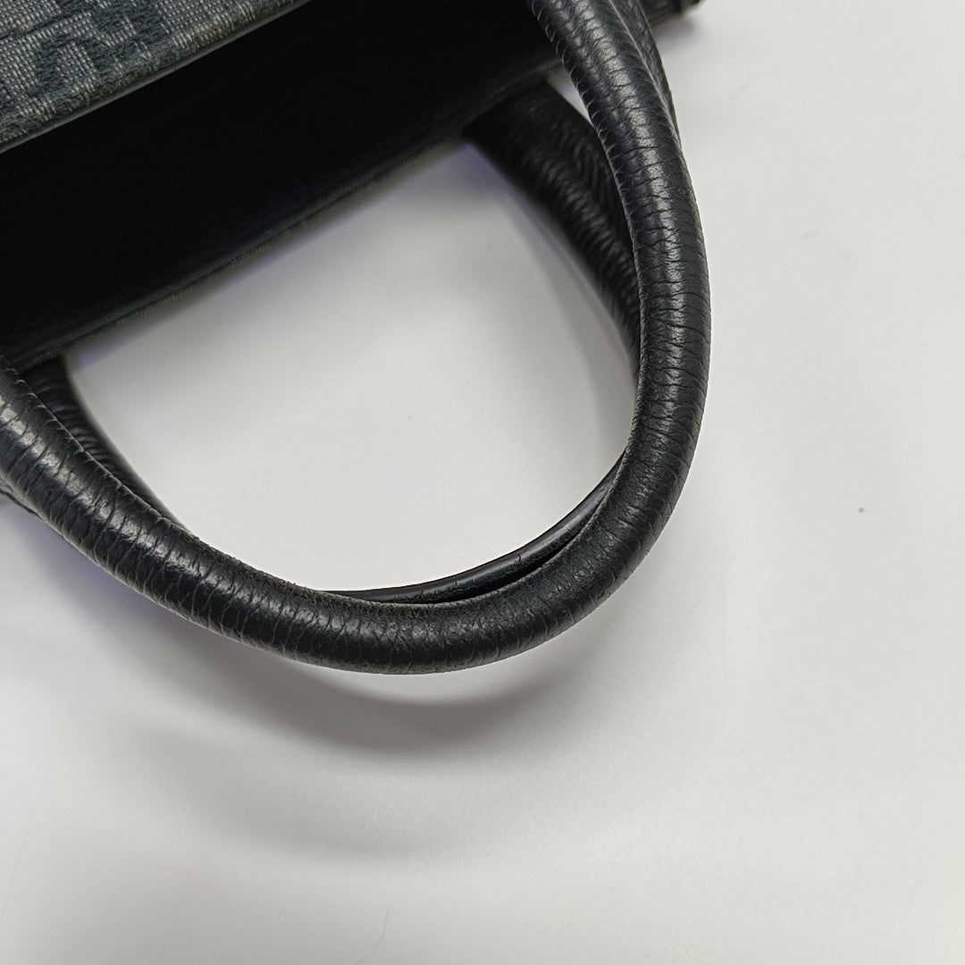Safari Oblique Canvas Black