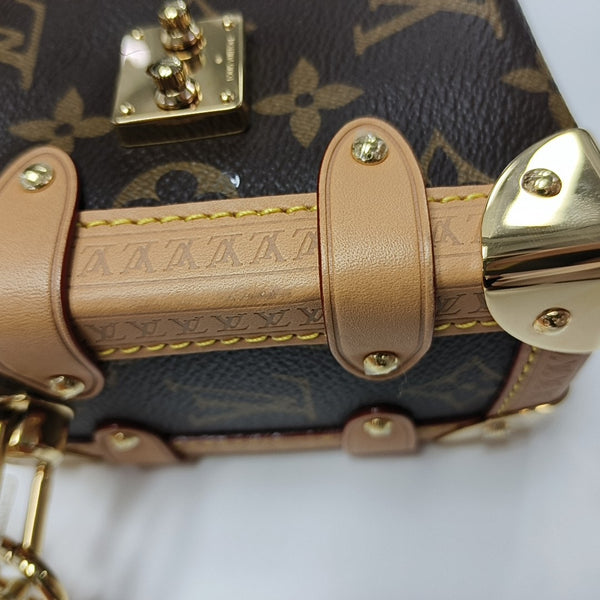 SIDE TRUNK PM Monogram Coated Canvas Brown