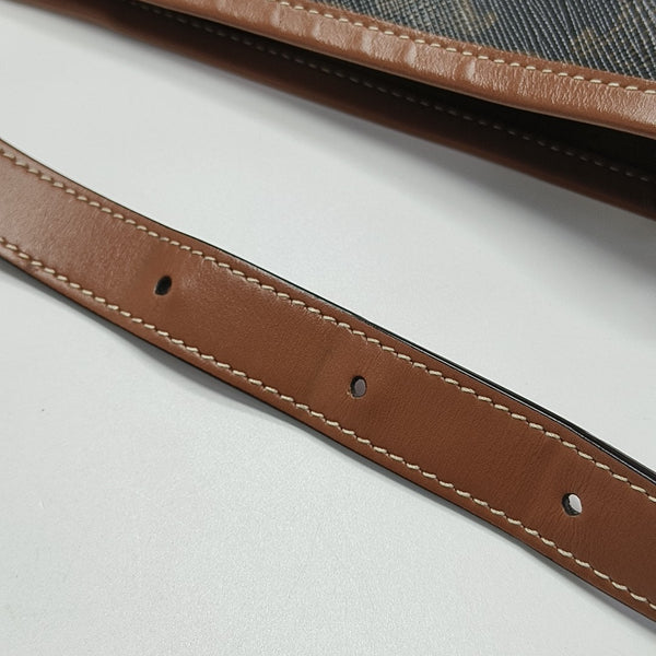 TRIOMPHE CANVAS Small Coated Canvas Brown