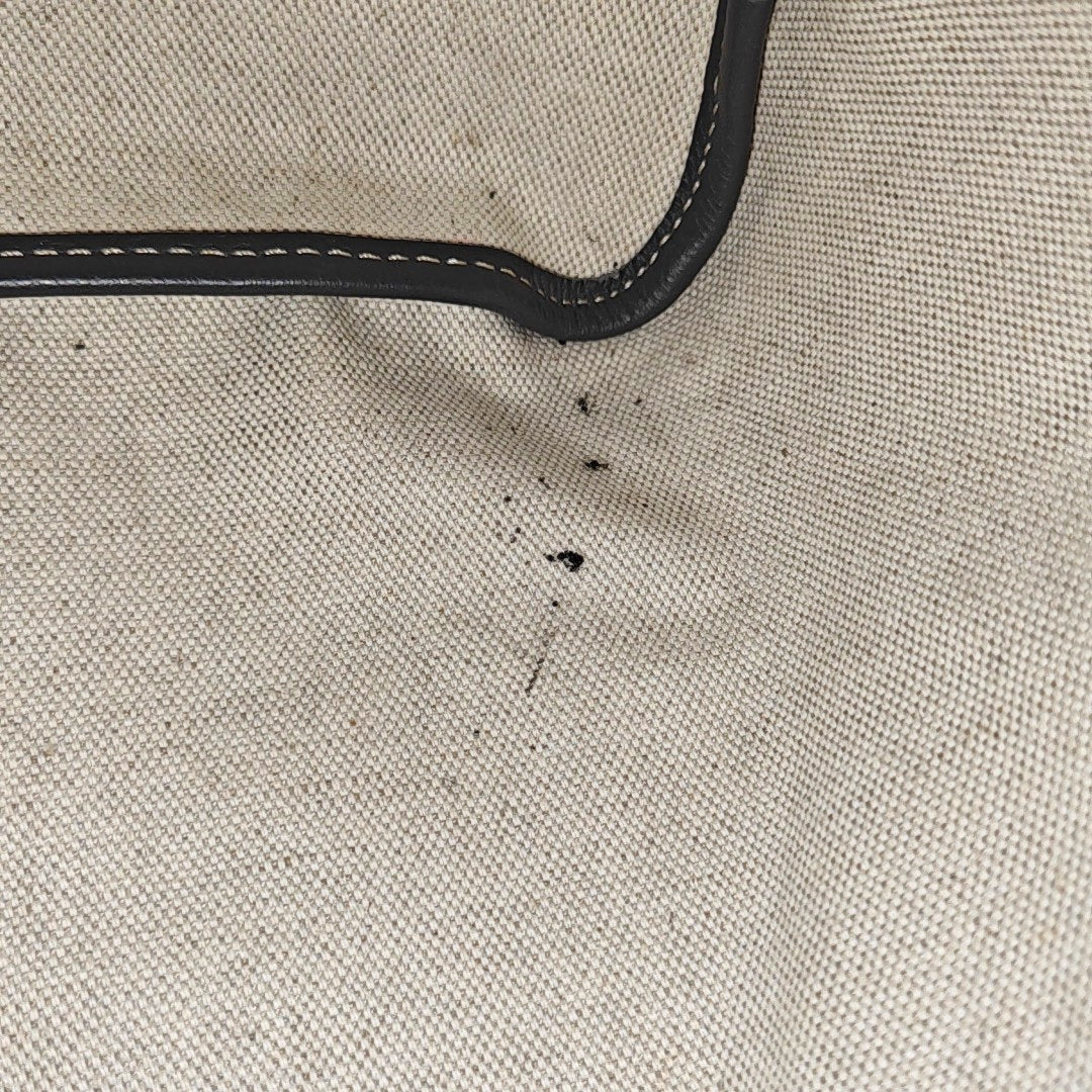 Saint Louis PM Coated Canvas Gray