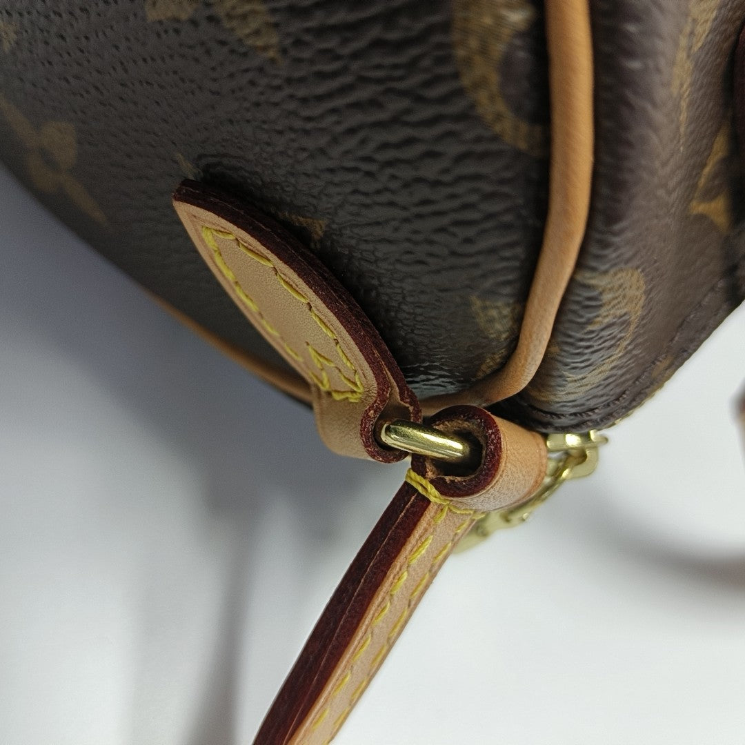 SPEEDY Nano Monogram Coated Canvas Brown
