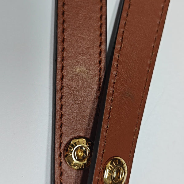 DAUPHINE MM Monogram Coated Canvas Brown