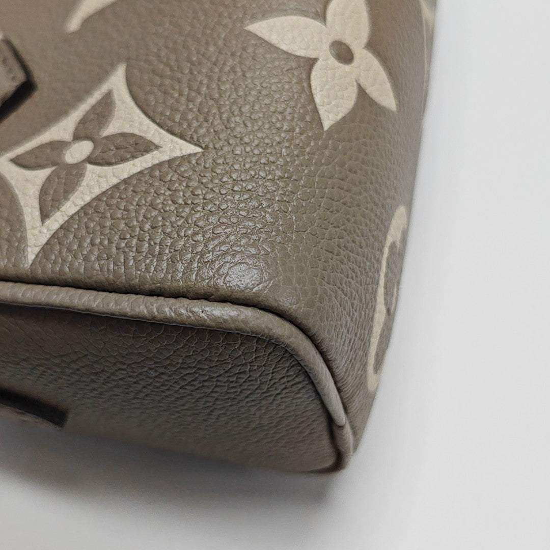 SPEEDY Nano Monogram Calfskin Gray