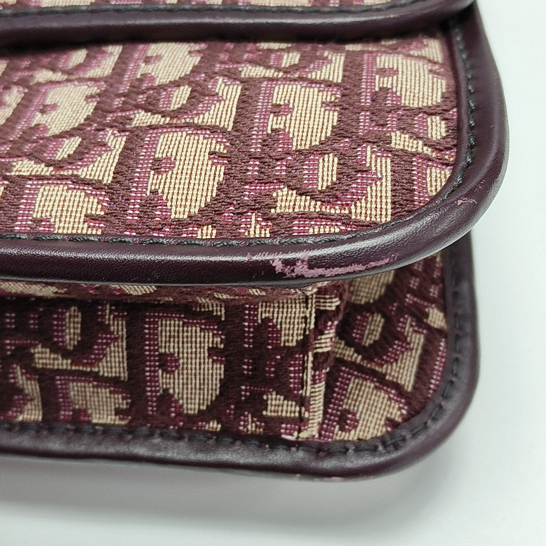 Dioraddict Oblique Canvas Red
