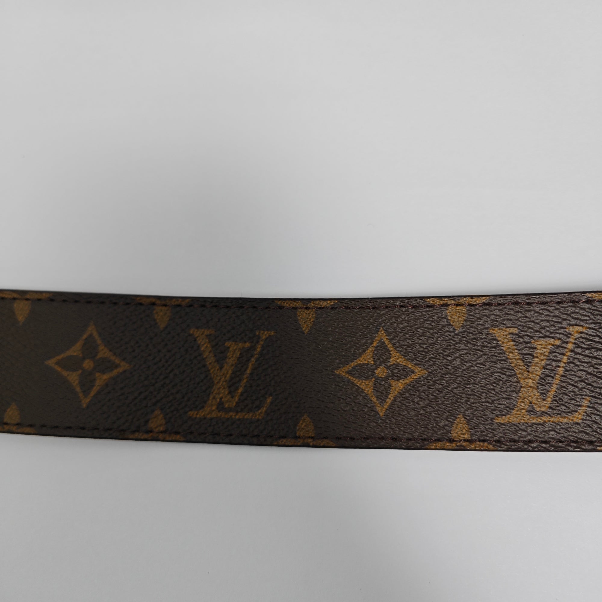 Coated Canvas Belt Brown