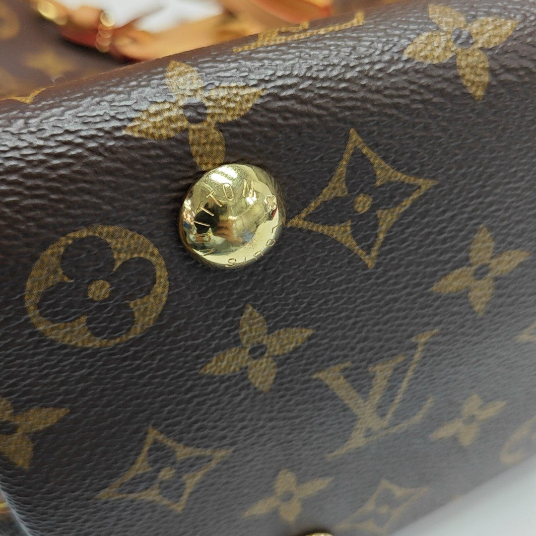 CARRYALL PM Monogram Coated Canvas Brown