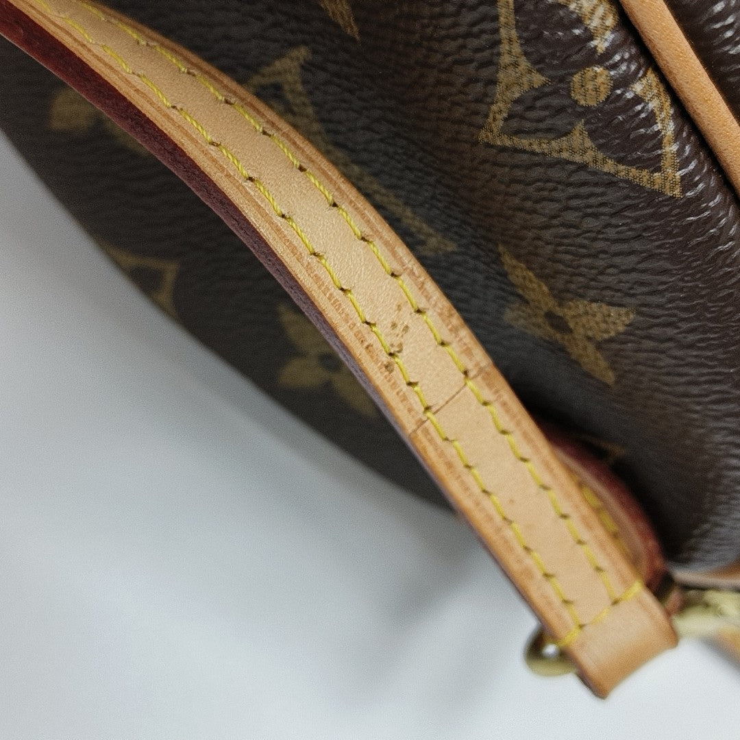 SPEEDY Nano Monogram Coated Canvas Brown